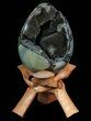 Septarian Dragon Egg Geode - Black Crystals #71986-1